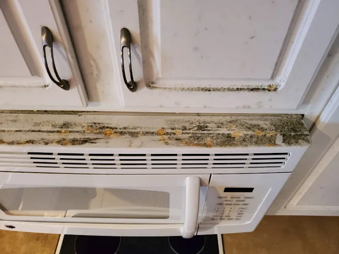 Aftermath Remediation of Florida Picture 3