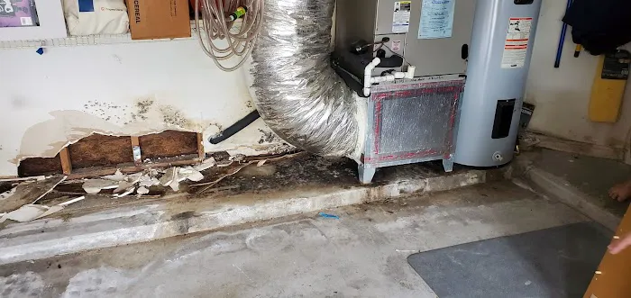 Aftermath Remediation of Florida Picture 6