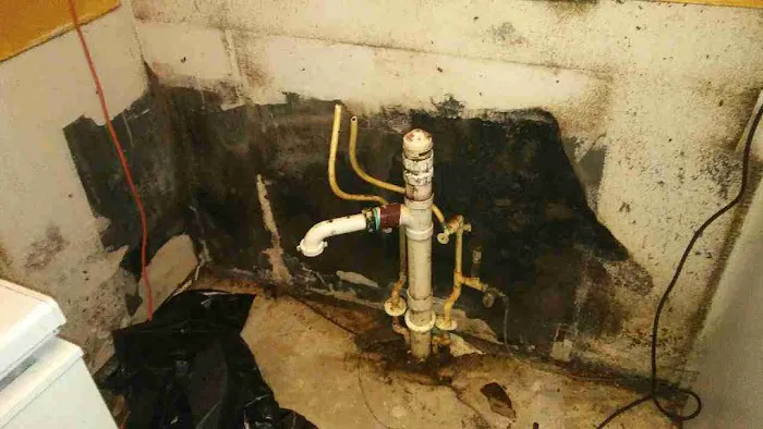 Aftermath Remediation of Florida Picture 5