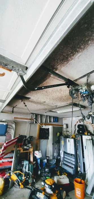 Aftermath Remediation of Florida Picture 1