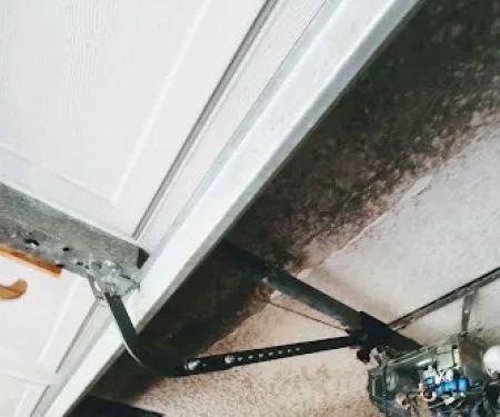 Aftermath Remediation of Florida