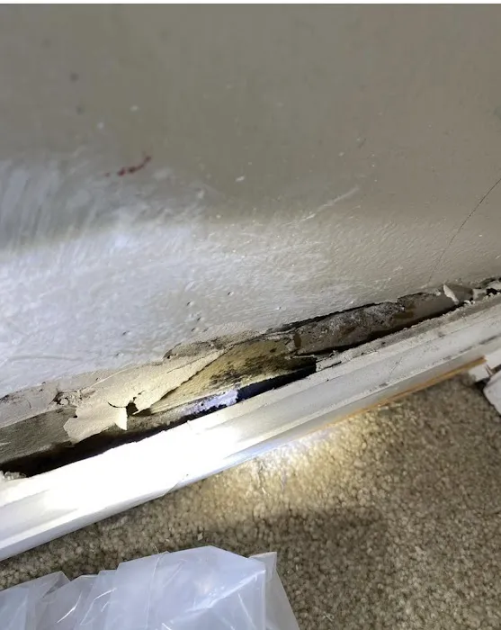 AirDNA Solutions Picture 3