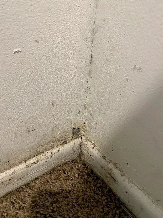 AirDNA Solutions Picture 8