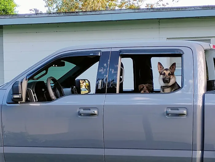 JMM Painting LLC Picture 2