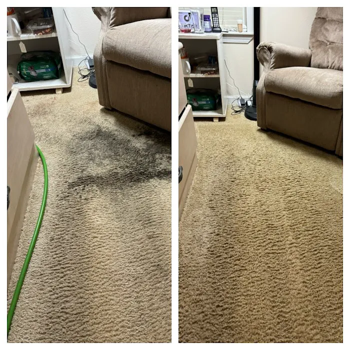 Excel Cleaning and Restoration Picture 2