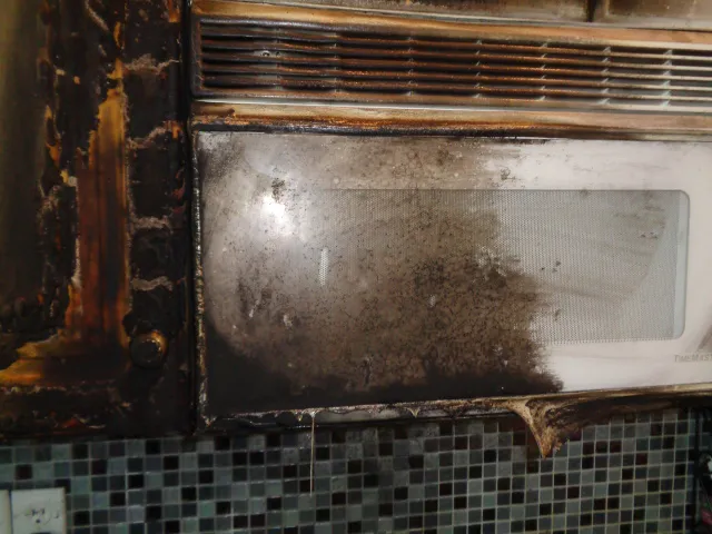 SERVPRO of Lake Nona Picture 2