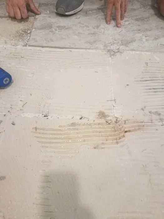 Joe Taylor Restoration- Central Florida East Picture 9