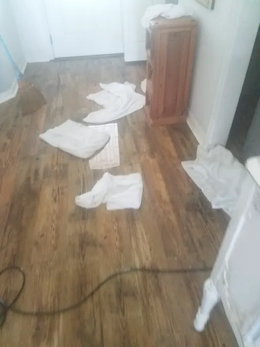 Joe Taylor Restoration- Central Florida East Picture 4