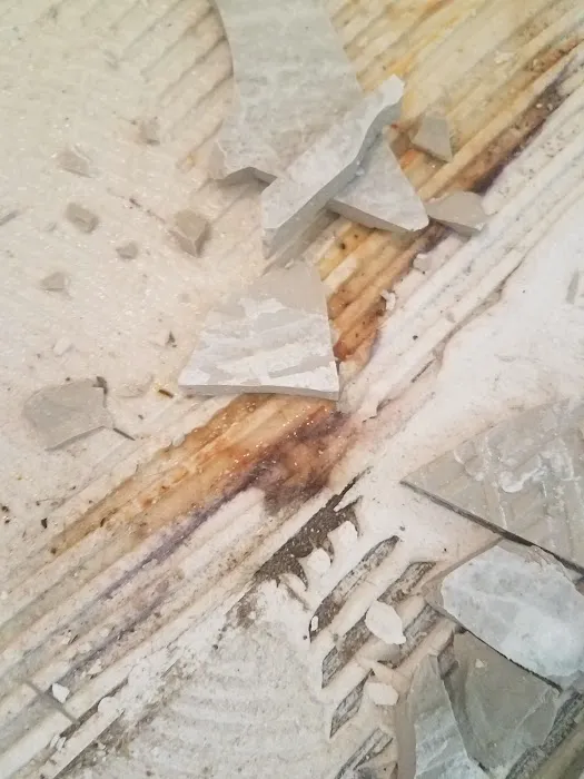 Joe Taylor Restoration- Central Florida East Picture 7