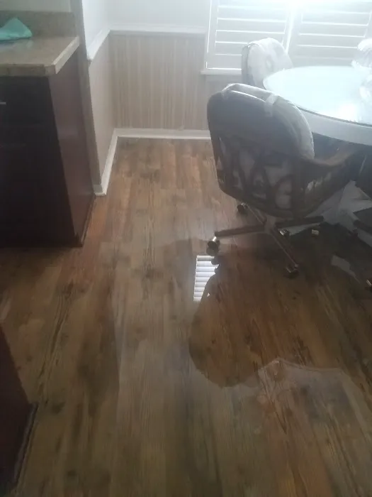 Joe Taylor Restoration- Central Florida East Picture 5