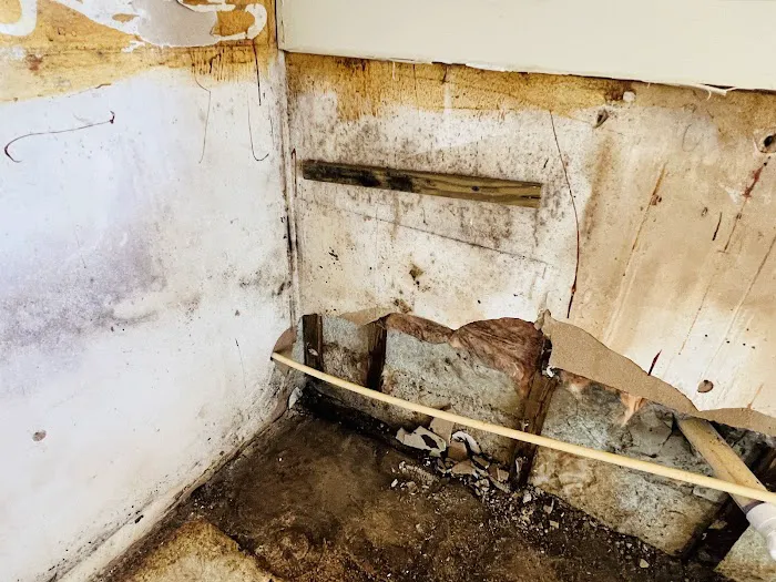 ELR Restoration Inc - Orlando Picture 3