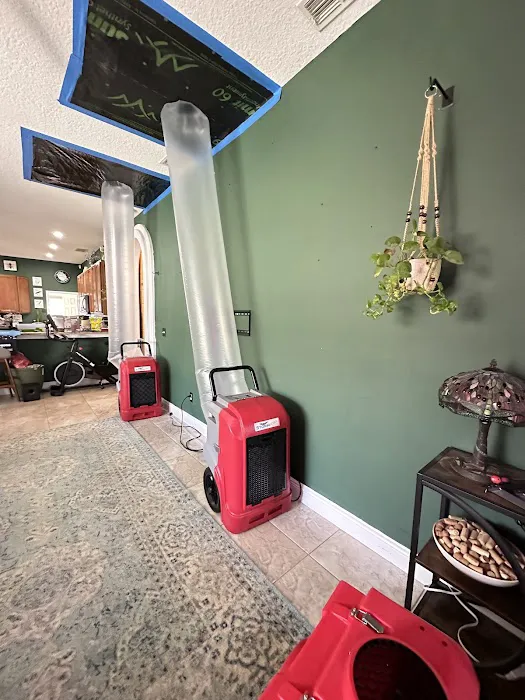 ELR Restoration Inc - Orlando Picture 2