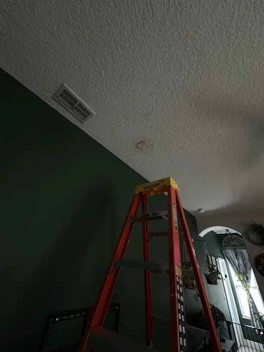 ELR Restoration Inc - Orlando Picture 5