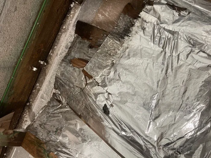 PuroClean of Meadow Woods Picture 10