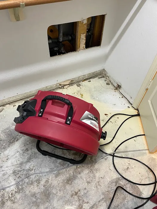 PuroClean of Meadow Woods Picture 7