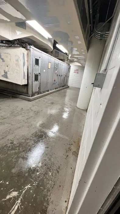 PuroClean of Meadow Woods Picture 2