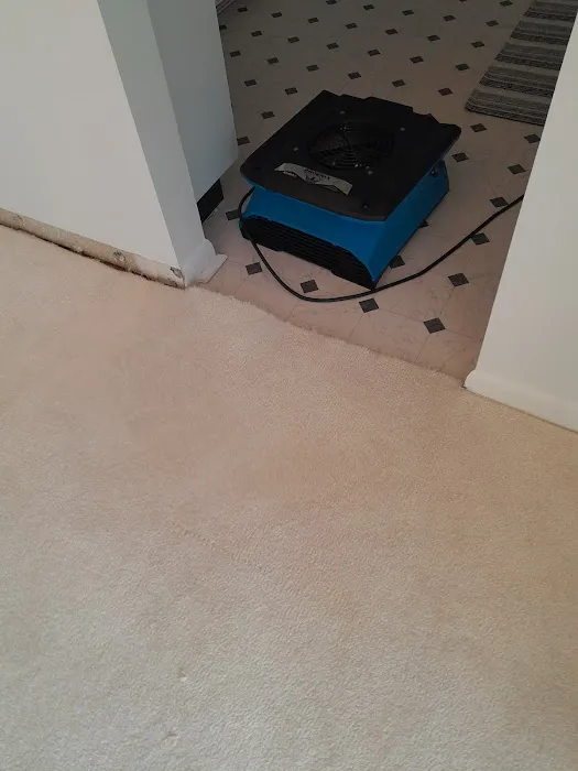 Jenkins Restorations Picture 8