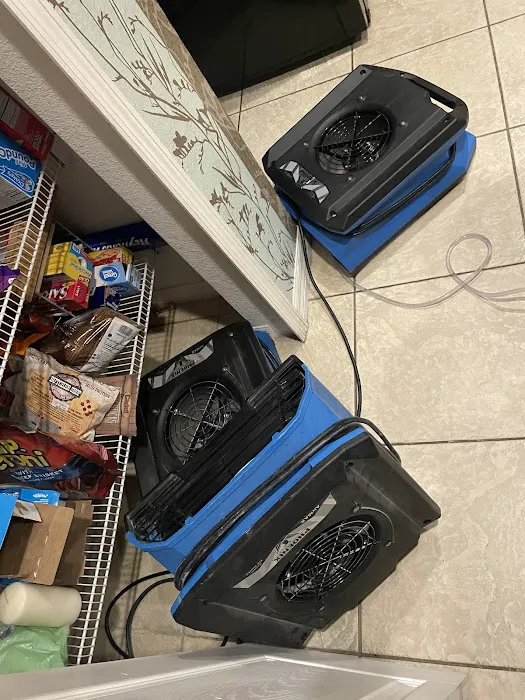 Jenkins Restorations Picture 7