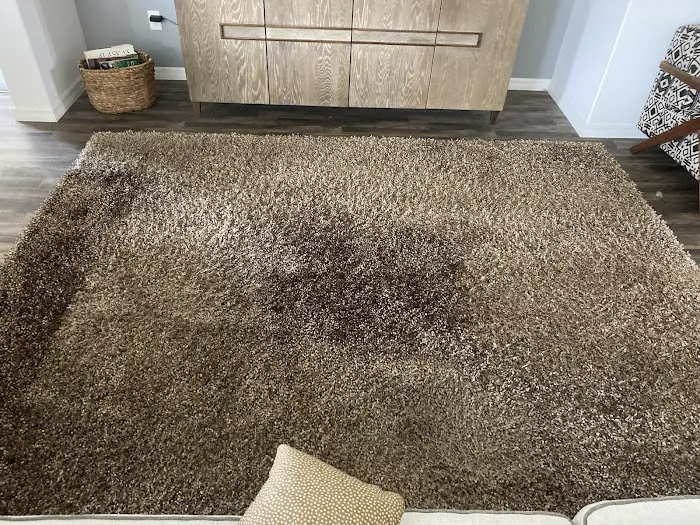 Stanley Steemer Picture 5