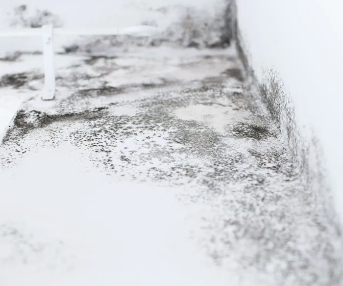 Perfect Restoration of Clermont Picture 6