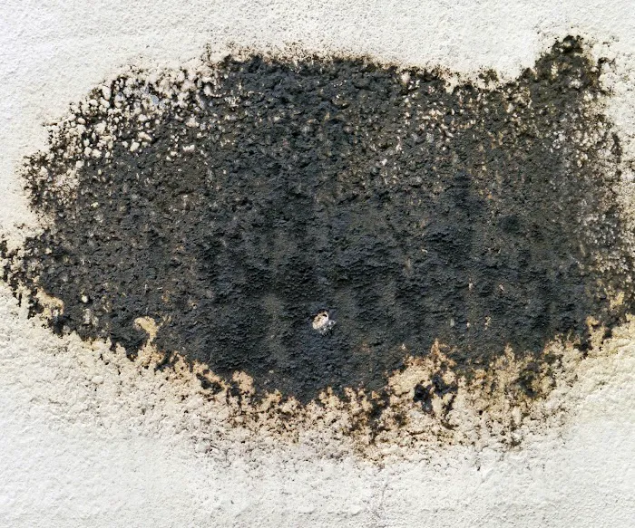 Perfect Restoration of Clermont Picture 8