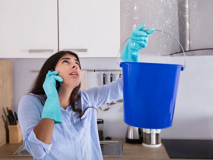 Perfect Restoration of Clermont Picture 4