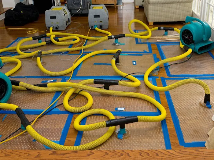 Perfect Restoration of Clermont Picture 2