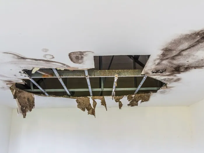 Perfect Restoration of Clermont Picture 1