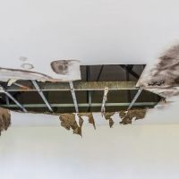 Perfect Restoration of Clermont ico