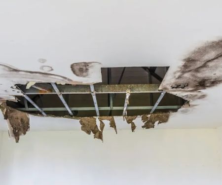 Perfect Restoration of Clermont