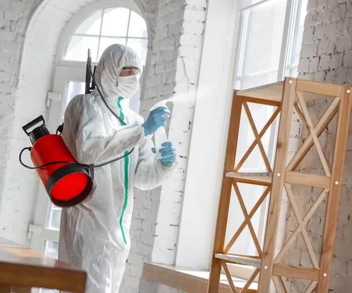 Perfect Restoration of Clermont Picture 7