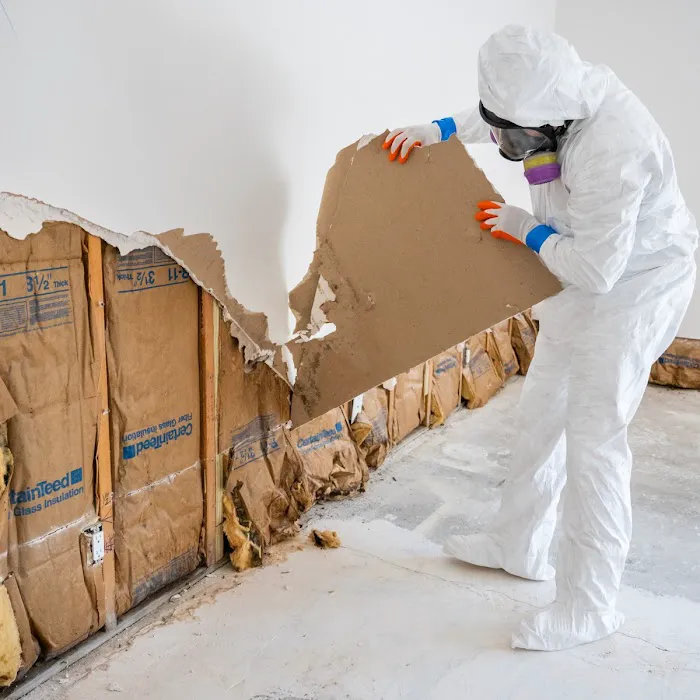 ACE Restoration Services, LLC Picture 9