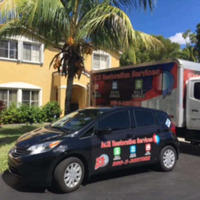 ACE Restoration Services, LLC Picture 4