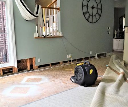 ACE Restoration Services, LLC