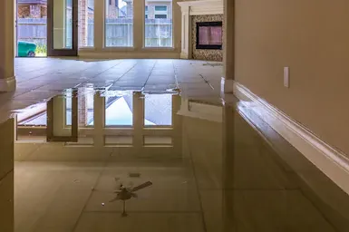 Ultimate Environmental Solutions Picture 8