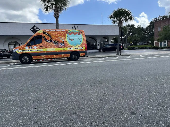 Puddles Restoration Picture 7