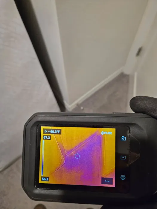 Puddles Restoration Picture 1