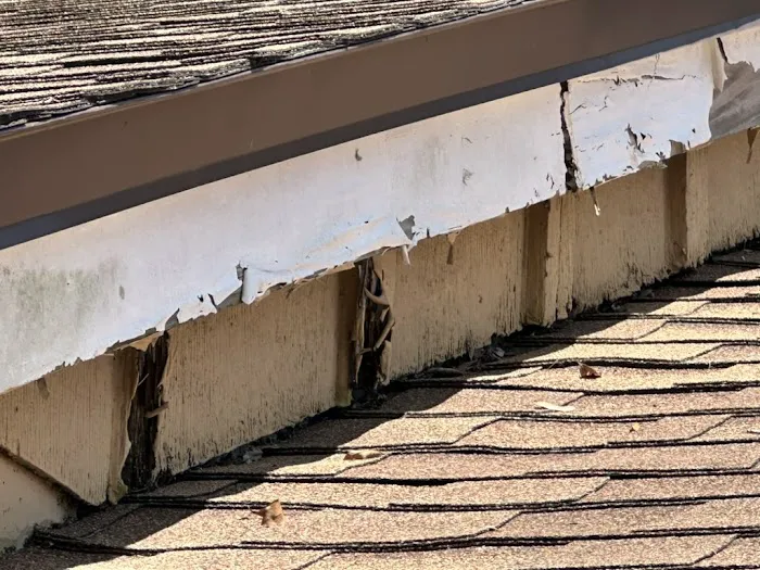 Puddles Restoration Picture 4