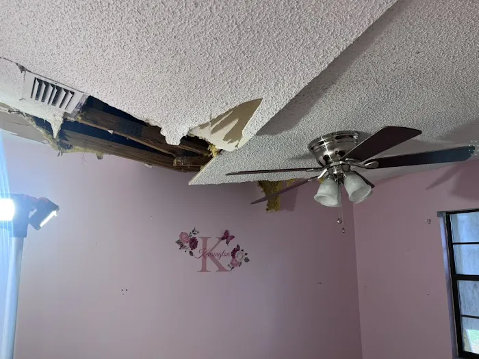 Puddles Restoration Picture 3