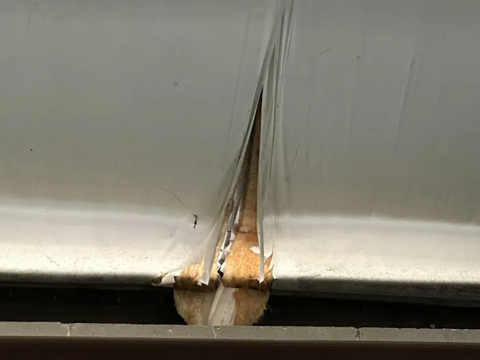 Puddles Restoration Picture 2