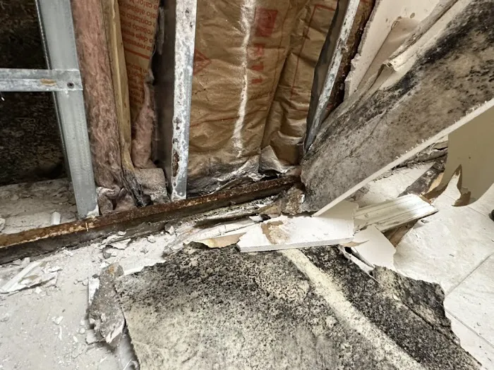 Puddles Restoration Picture 6