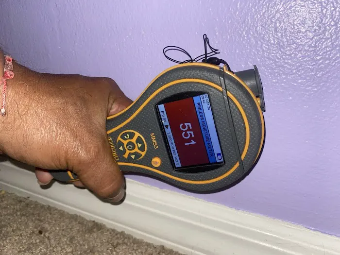 Puddles Restoration Picture 5