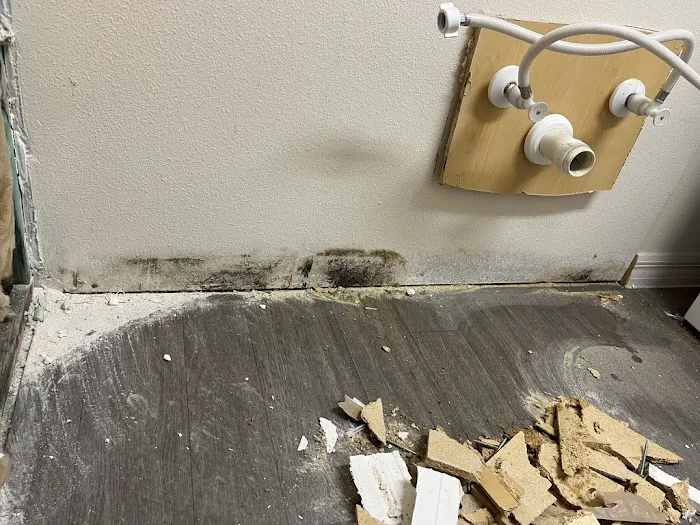 Puddles Restoration Picture 10