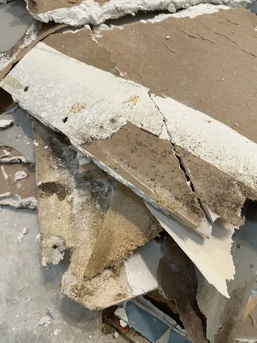 Puddles Restoration Picture 9