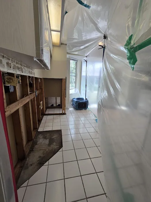 Eagle Restoration of Marion County Picture 5