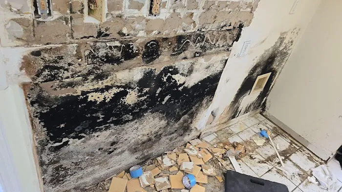 Eagle Restoration of Marion County Picture 3