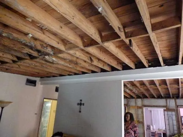 Sunshine Construction and Restoration Inc Picture 7