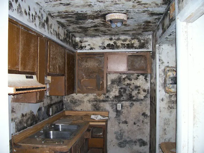 SERVPRO of New Smyrna Beach-Titusville Picture 1