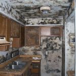 SERVPRO of New Smyrna Beach-Titusville