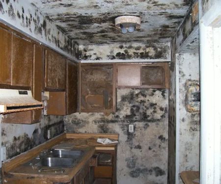 SERVPRO of New Smyrna Beach-Titusville